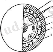 http://lib.aipet.kz/aies/facultet/frts/kaf_tks/2/umm/tks_6.files/image012.jpg