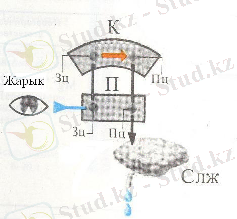 122 каз