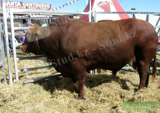 http://agro-russia.com/imgs/board/7/2557-1.jpg