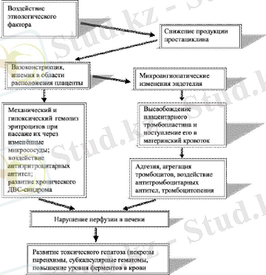 http://www.medsecret.net/images/stories/akusherstvo/akuser32_.gif