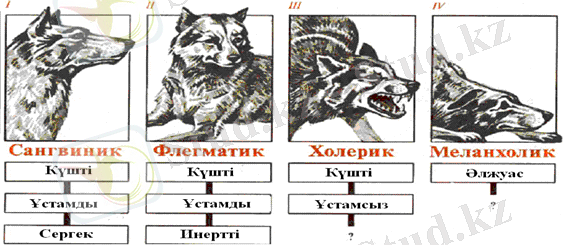http://portal.agun.kz/e-books/content/VsFb2Yr9pH9XahoZGPv4/images/volki.bmp