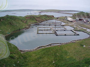 C:\Users\Абай\Downloads\гигиена\300px-Lambholmquarry.jpg