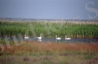 http://www.kostanay.gov.kz/uploads/images/news/1283752551.jpg