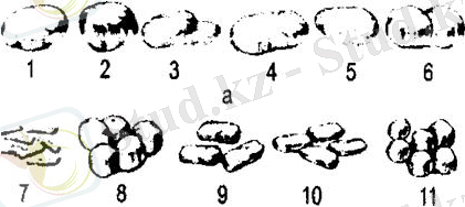 http://portal.agun.kz/e-books/content/xoiEZIrH8JzPnATUNP9f/images/48.JPG