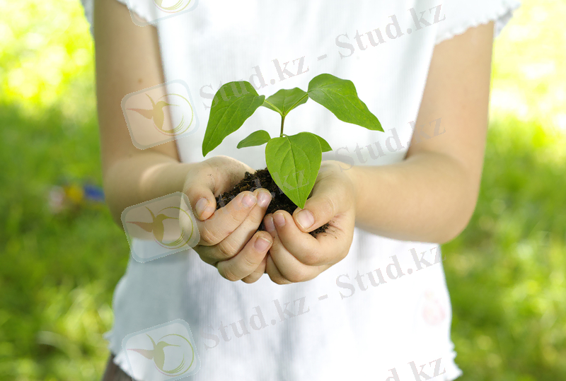 http://www.medweb.ru/upload/articles/photo_396.jpg