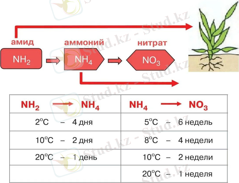 https://avatars.dzeninfra.ru/get-zen_doc/5298381/pub_63ff25adbba6415690785bd0_6410e686501643726a57dcdd/scale_1200