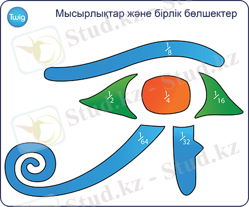 C:\Users\User\Downloads\kktwg00908-diagramma.jpg