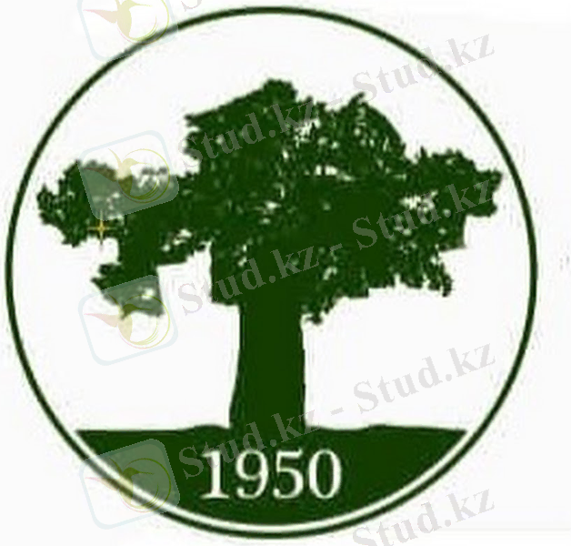 https://yt3.googleusercontent.com/VzlBeVR6H6oWFSOkbPItmiowIl3vgm5fQdZ2WWXjNuzrZUKHgufpj_L9-gEjO24TrjOuR19JzQ=s900-c-k-c0x00ffffff-no-rj
