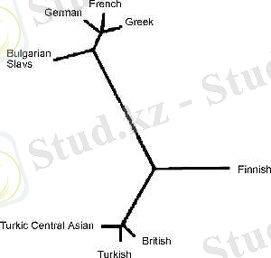 http://s155239215.onlinehome.us/turkic/41TurkicInEnglish/EnglishTurkicLexiconMergenJournOfGeneticsVol83No1April2004Fig4.jpg