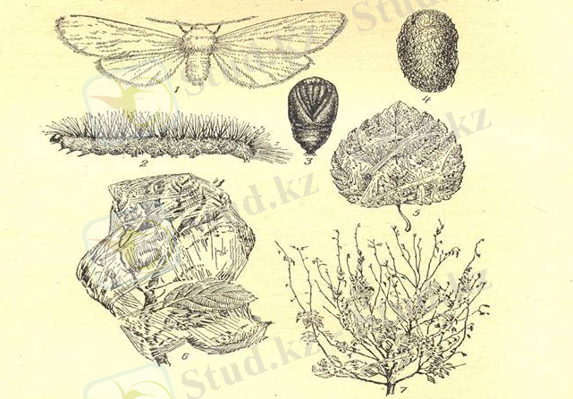 http://portal.agun.kz/e-books/content/yuPl5sl9nL1D1xXGRjXC/pages/5.7.files/image002.jpg