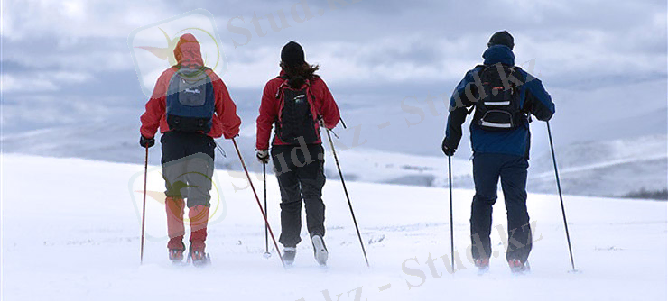 https://mass-sport.ru/images/stories/all/ski1.jpg