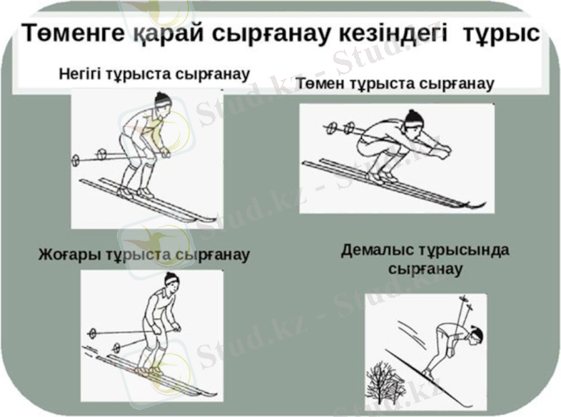 https://theslide.ru/img/thumbs/9e7bfcb68a7184a72f3cf86e78014467-800x.jpg
