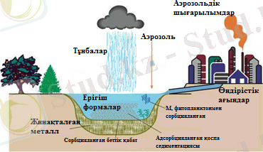 C:\Users\Гулдар\Desktop\картинка.png