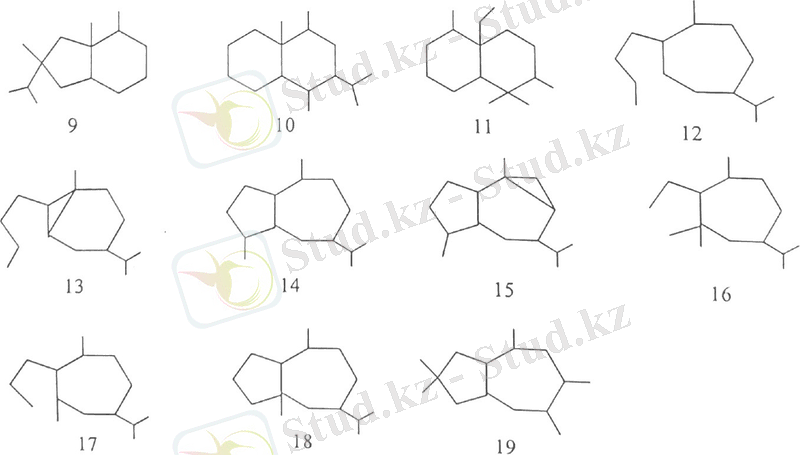 C:\Users\12345\Pictures\ббббб.jpg