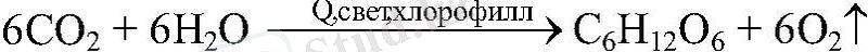 C:\Users\Хозяин\Pictures\ru91-728.jpg
