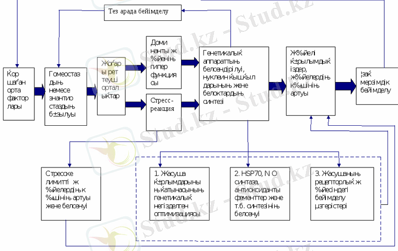 http://www.kaz.docdat.com/pars_docs/refs/100/99866/99866_html_m71bedfdd.gif