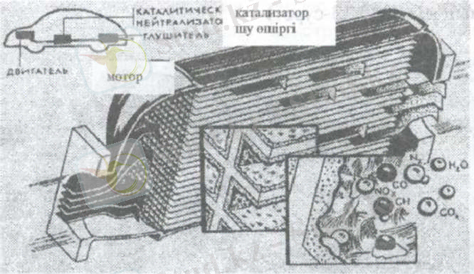 C:\Users\Pufis_000\Desktop\media\image1.jpeg
