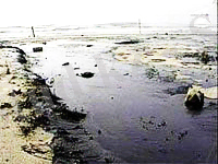 http://www.centrasia.ru/im-news/2003/06/1054823100.jpg