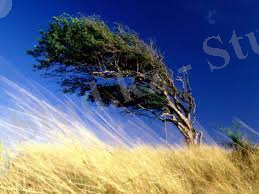 C:\Users\User\Desktop\2015-02-22-23-24-23-793055217.jpeg