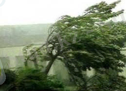 C:\Users\User\Desktop\images-1.jpeg