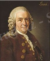 http://www.itest.kz/upload/images/1355975597.46.jpeg.jpg
