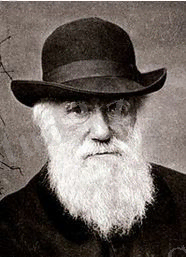 http://www.itest.kz/upload/images/1355975660.44.jpeg.jpg