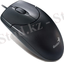 C:\Users\Жадигер\Desktop\kompjuternaja_mish.png