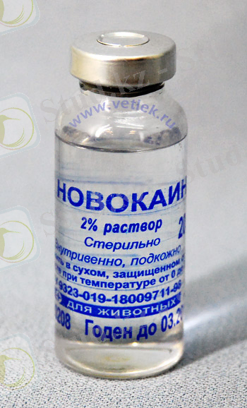 C:\Users\777\Desktop\fs_00002679.jpg