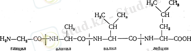 http://www.xumuk.ru/organika/ch-1612.gif