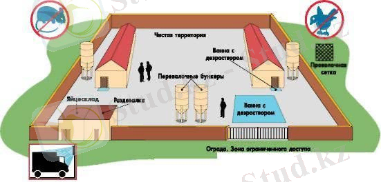 C:\Users\Fujitsu\Desktop\1268549540_ferma1.jpg