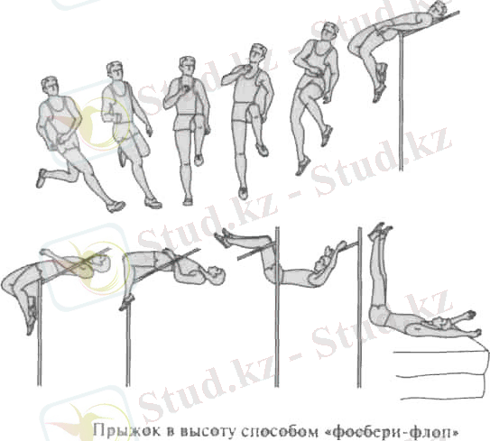 477918_html_m5f7b5a01.png