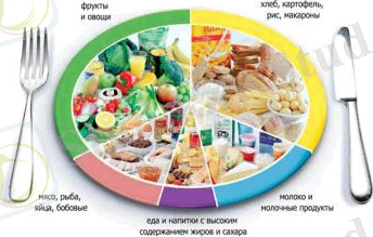 http://ok-t.ru/studopediaru/baza10/456308492662.files/image006.jpg