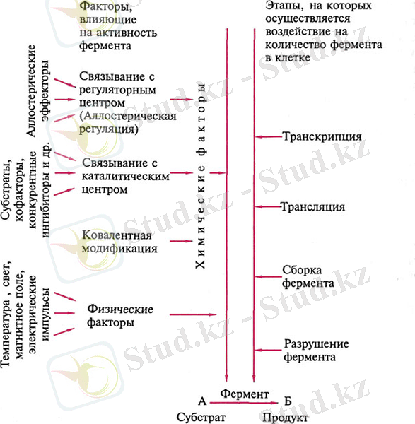 C:\Users\Timur\Desktop\028.jpg