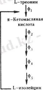 C:\Users\Timur\Desktop\fig030.gif