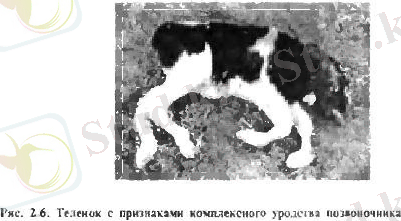 C:\Users\Timur\Desktop\1416315347_r6.jpeg