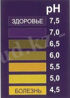 http://zozh.kz/images/stories/pitanie/image-3.jpg