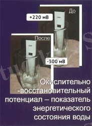http://zozh.kz/images/stories/pitanie/image-6.jpg