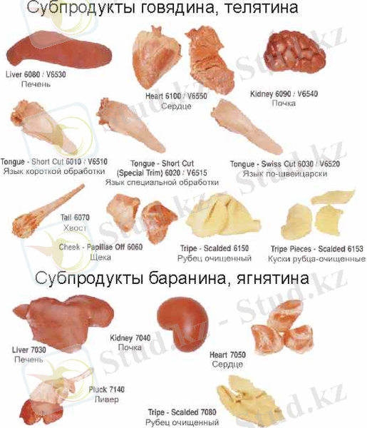 http://3.bp.blogspot.com/-xi6vcwX2Avk/TavUECgf3MI/AAAAAAAAAEY/Ldkvp4iLdLM/s640/img_27.jpg