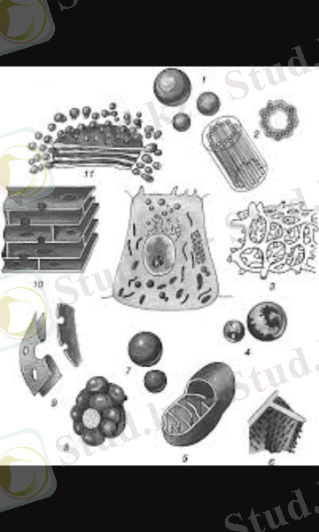 C:\Users\Админ\Desktop\Screenshot_2015-11-12-21-56-33.png
