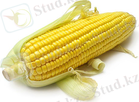 http://agrotender.com.ua/pics/advs/pic/128817_47703.jpeg