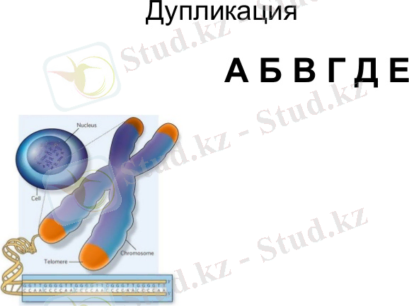 -19-638.jpg