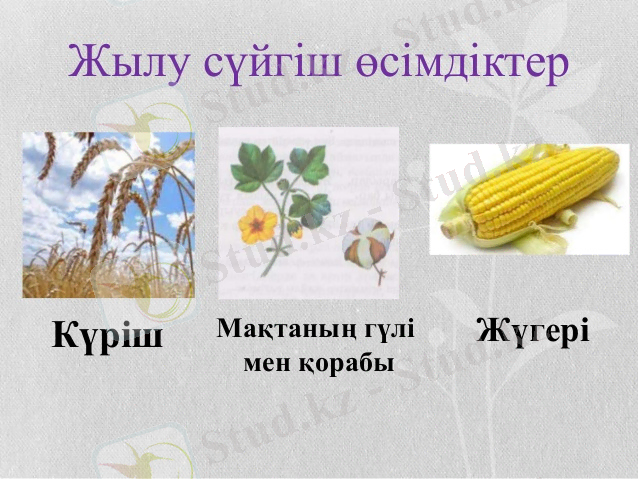 http://image.slidesharecdn.com/1111-140128225418-phpapp01/95/-9-638.jpg?cb=1390949705