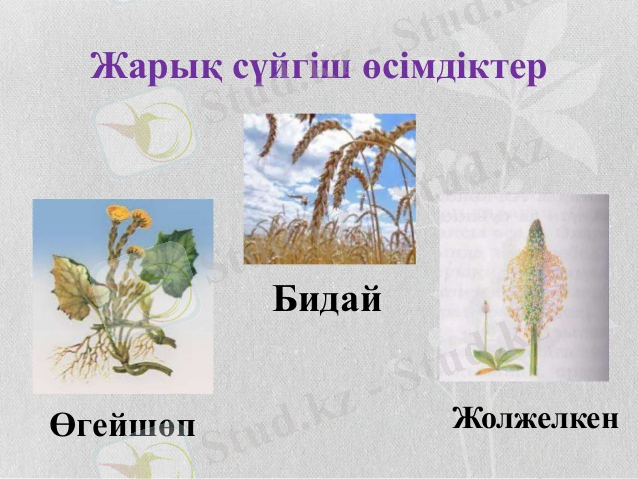 http://image.slidesharecdn.com/1111-140128225418-phpapp01/95/-13-638.jpg?cb=1390949705