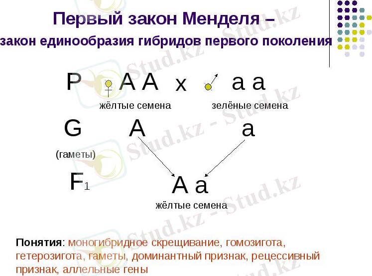 C:\Users\Admin\Desktop\айжан.jpg