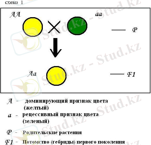 C:\Users\Admin\Desktop\вывывы.png