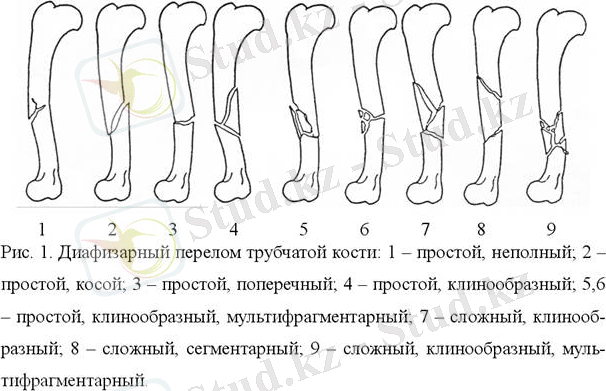 http://www.moscow-vet.ru/userfiles/image002(3).jpg