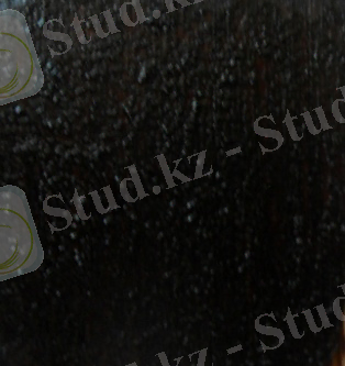 C:\Users\акмарал\Desktop\SAM_3727.JPG