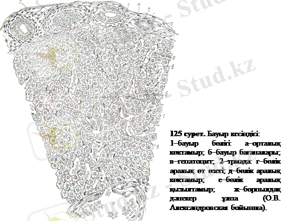 http://ebooks.semgu.kz/ebook/7/images/1179/898/clip_image002.gif