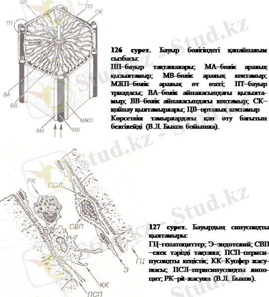 http://ebooks.semgu.kz/ebook/7/images/1179/898/clip_image005.gif