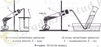 Ottek.PNG